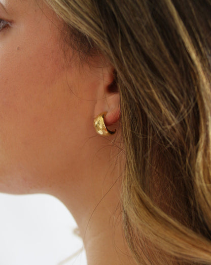 Vera Earrings in gold