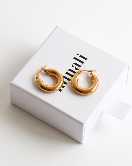 Jade Earrings in gold